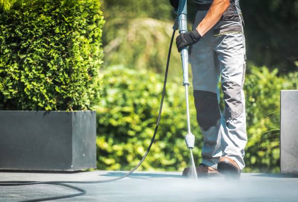 Best Animal Enclosure Cleaning  in Center, TX